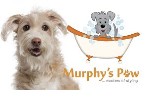 Identity design for "Murphy's Paw" pet grooming salon